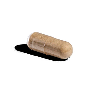 Solgar Milk Thistle capsule on a white surface