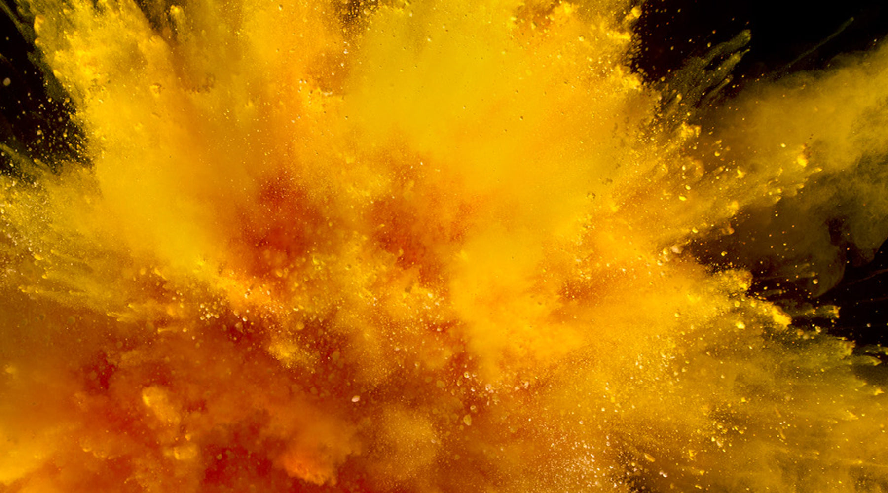 Fundamentals of Energy Metabolism, exploding powder graphic image