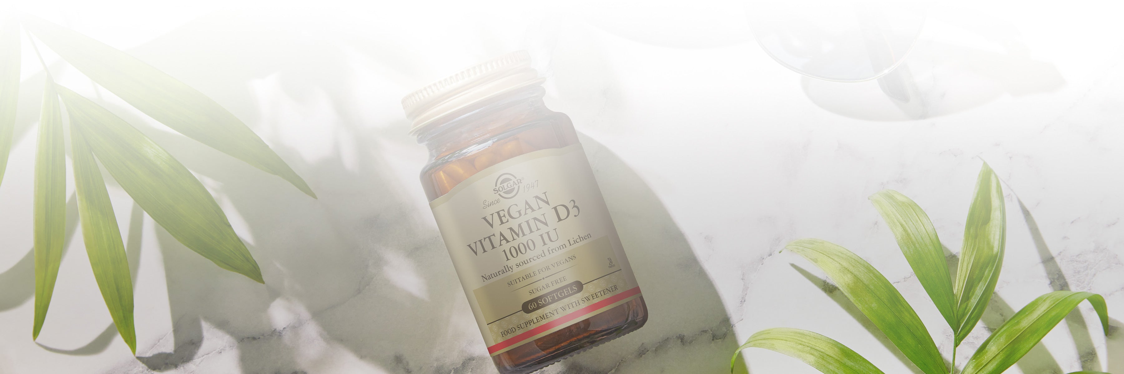 Popular Vegan Vitamins & Supplements