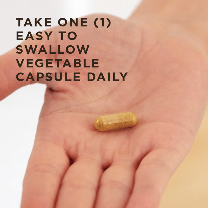 Solgar 7 Joint Support Vegetable Capsule in a person's hand