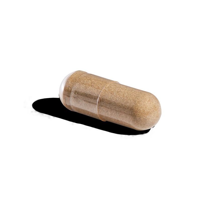 Solgar Milk Thistle capsule on a white surface 