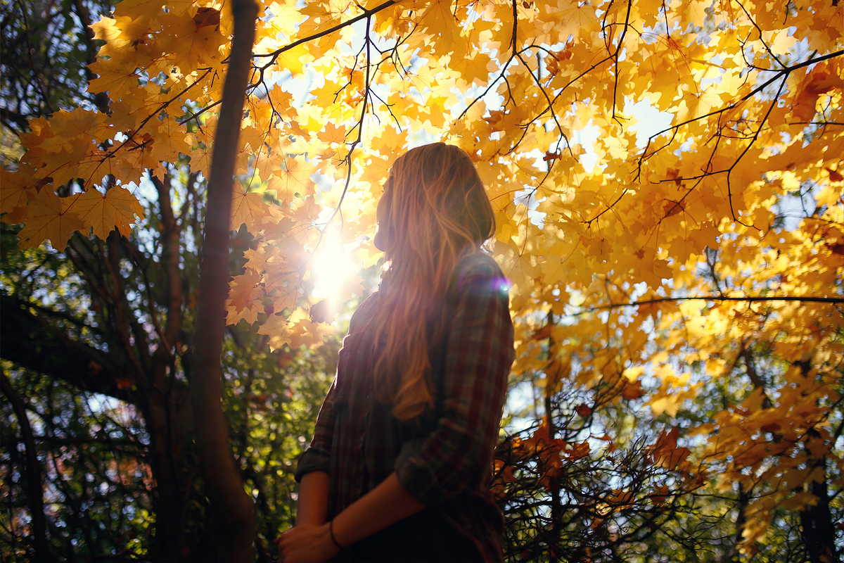 A woman standing in a forest of bright yellow autumn trees with the sun shining through the leaves.