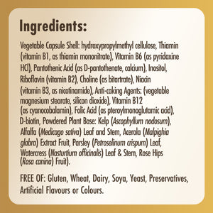 Vitamin B-Complex ''50'' High Potency Vegetable Capsules